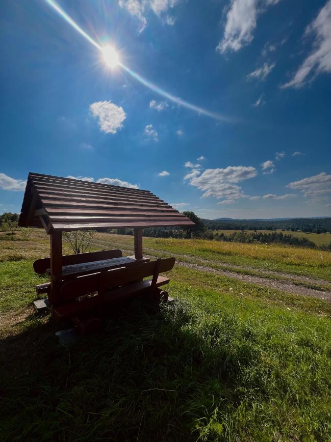 Domki U Bejdaka 789- 039 - 689 Villa Bereznica Wyzna Esterno foto