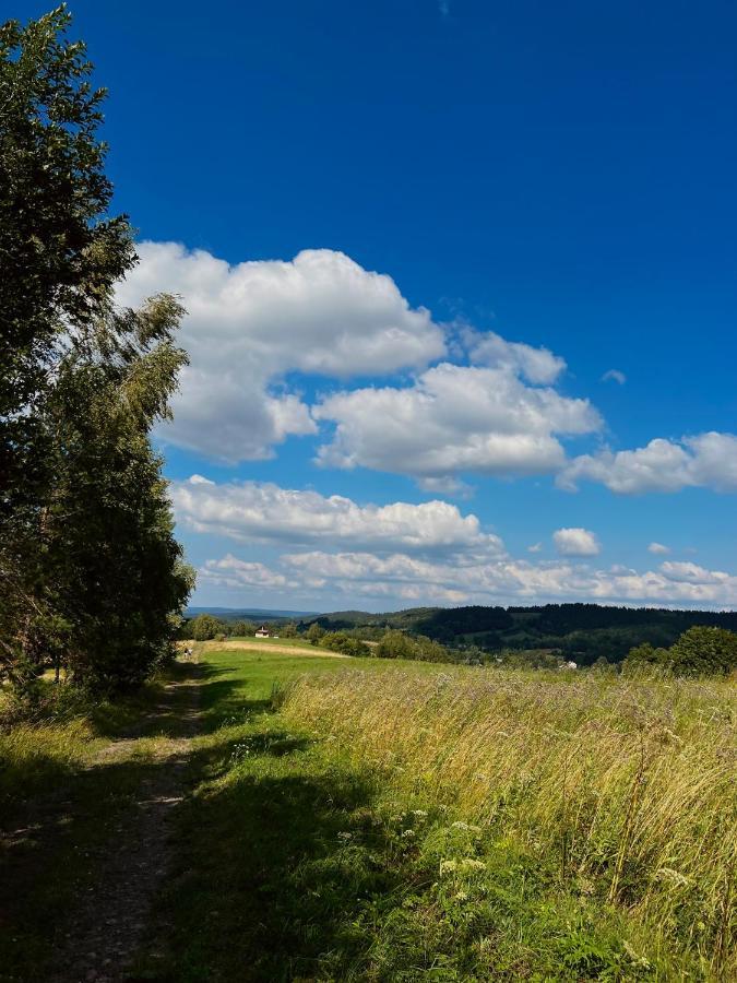 Domki U Bejdaka 789- 039 - 689 Villa Bereznica Wyzna Esterno foto